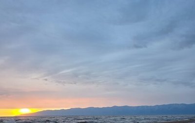 Toyota Prius IV XW50, 2016 год, 1 620 000 рублей, 1 фотография