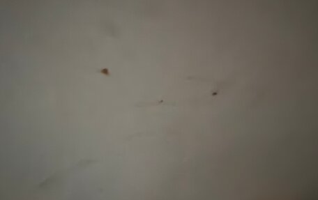 Volkswagen Tiguan II, 2020 год, 2 450 000 рублей, 10 фотография