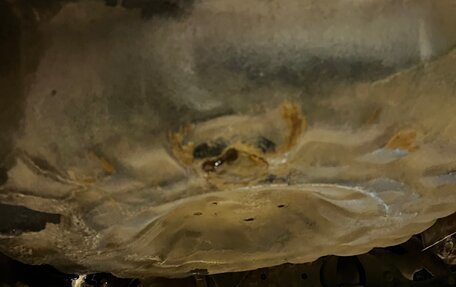 Nissan Cefiro II, 1994 год, 250 000 рублей, 12 фотография