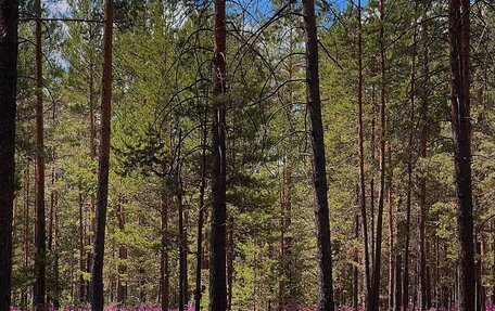 Nissan Note II рестайлинг, 2013 год, 880 000 рублей, 4 фотография