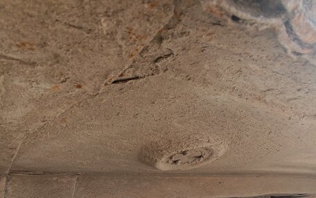 Mitsubishi Space Star I рестайлинг, 2004 год, 248 000 рублей, 11 фотография