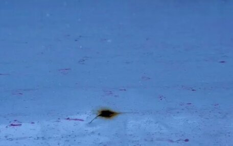 Toyota Camry, 2019 год, 1 550 000 рублей, 5 фотография