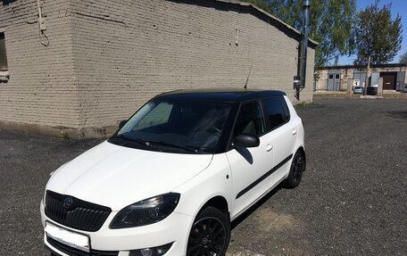 Skoda Fabia II, 2014 год, 900 000 рублей, 13 фотография