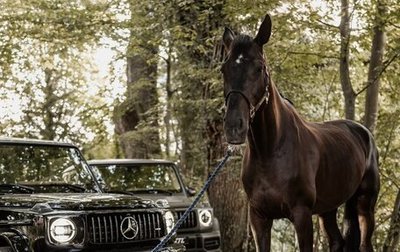 Mercedes-Benz G-Класс AMG, 2025 год, 35 000 000 рублей, 1 фотография