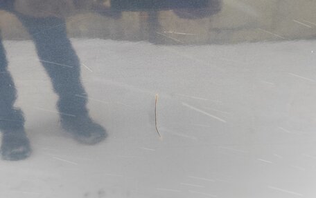 KIA cee'd I рестайлинг, 2010 год, 550 000 рублей, 15 фотография