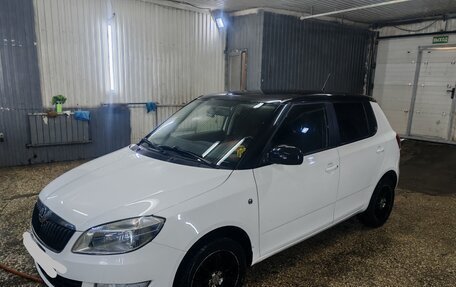 Skoda Fabia II, 2013 год, 920 000 рублей, 1 фотография