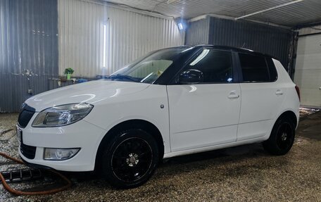 Skoda Fabia II, 2013 год, 920 000 рублей, 6 фотография