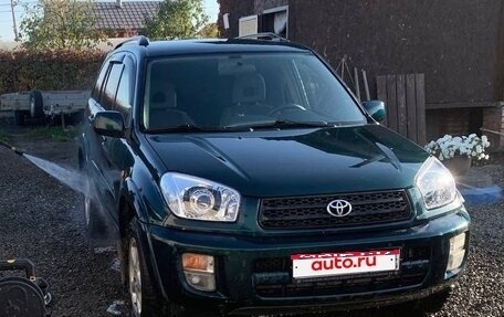 Toyota RAV4, 2002 год, 800 000 рублей, 1 фотография