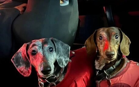 Mazda RX-8 I, 2003 год, 600 000 рублей, 17 фотография