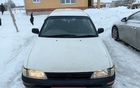 Toyota Corolla, 2001 год, 210 000 рублей, 1 фотография