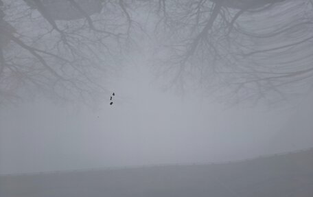 Haval F7 I, 2022 год, 14 фотография