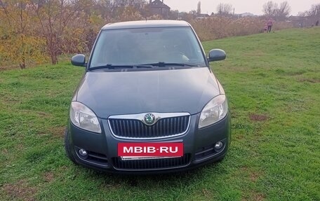 Skoda Fabia II, 2010 год, 565 000 рублей, 4 фотография