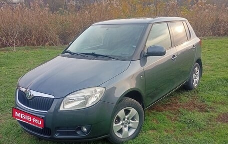 Skoda Fabia II, 2010 год, 565 000 рублей, 3 фотография