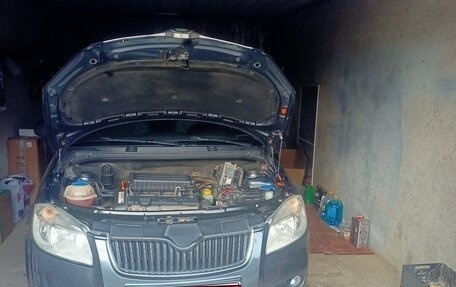 Skoda Fabia II, 2010 год, 565 000 рублей, 18 фотография