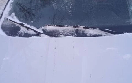 Skoda Octavia, 2019 год, 1 550 000 рублей, 9 фотография