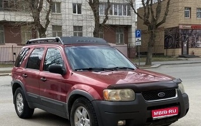 Ford Escape II, 2003 год, 333 000 рублей, 1 фотография