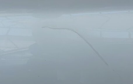 Skoda Kodiaq I, 2018 год, 2 230 000 рублей, 14 фотография