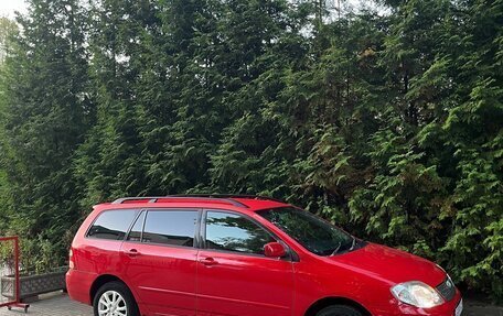 Toyota Corolla, 2000 год, 249 000 рублей, 1 фотография