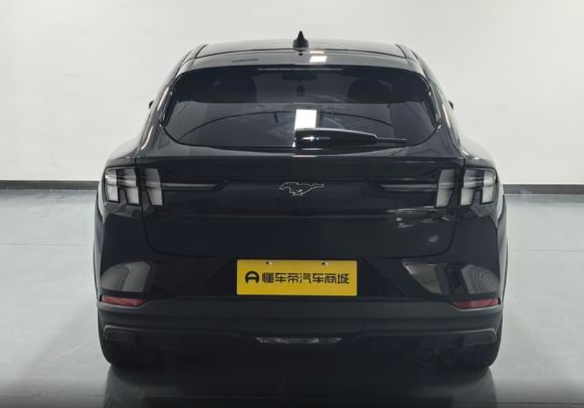 Ford Mustang Mach-E I, 2021 год, 4 580 000 рублей, 6 фотография