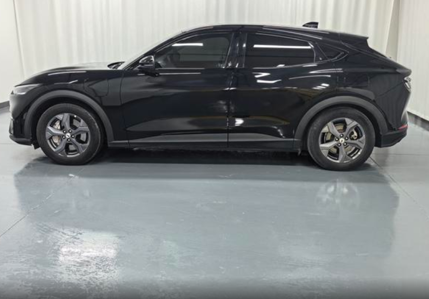 Ford Mustang Mach-E I, 2021 год, 4 580 000 рублей, 4 фотография