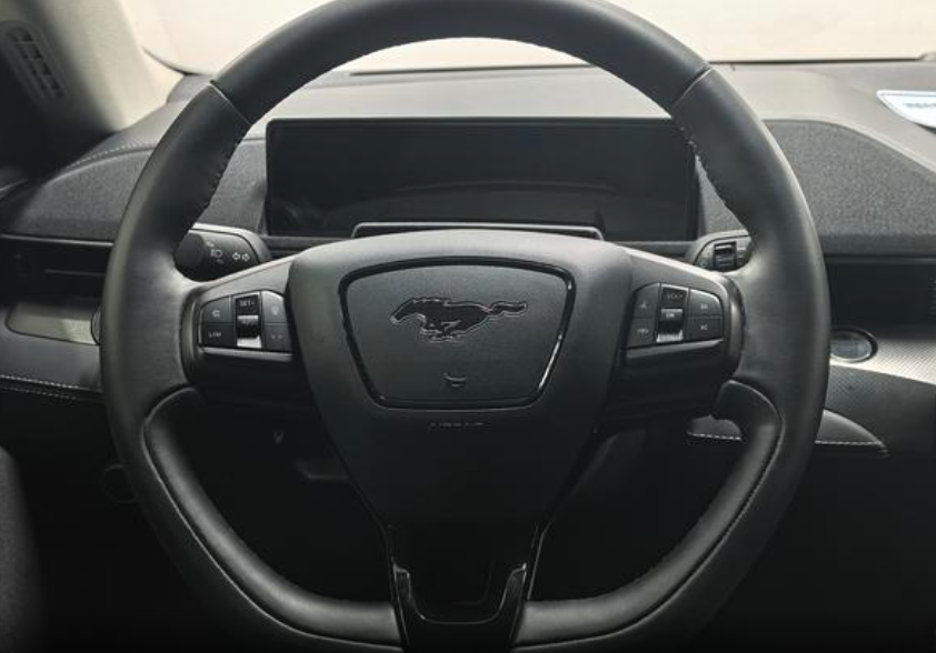 Ford Mustang Mach-E I, 2021 год, 4 580 000 рублей, 9 фотография