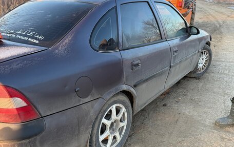 Opel Vectra B рестайлинг, 1996 год, 225 000 рублей, 2 фотография