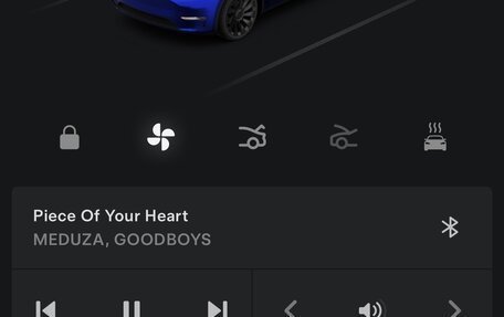 Tesla Model Y I, 2020 год, 3 950 000 рублей, 23 фотография