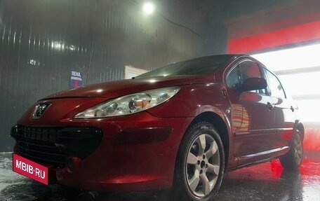 Peugeot 307 I, 2007 год, 350 000 рублей, 1 фотография