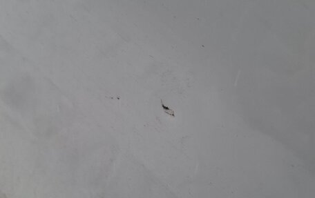 Skoda Rapid I, 2015 год, 850 000 рублей, 10 фотография