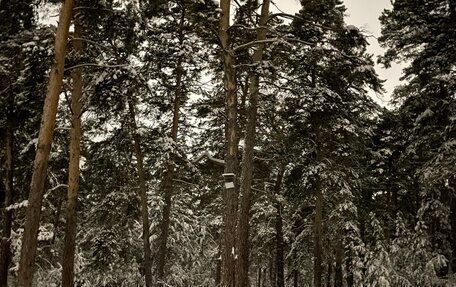 Toyota Chaser IV, 1990 год, 180 000 рублей, 3 фотография