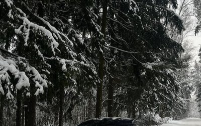 Mazda 6, 2008 год, 1 100 000 рублей, 1 фотография