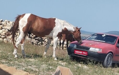 Opel Vectra A, 1992 год, 70 000 рублей, 1 фотография
