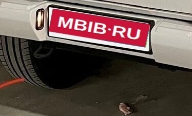 Mercedes-Benz G-Класс W463 рестайлинг _ii, 1999 год, 2 350 000 рублей, 1 фотография