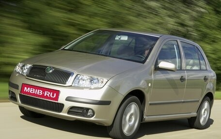 Skoda Fabia I, 2005 год, 350 000 рублей, 1 фотография