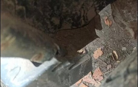 Ford Escape II, 2002 год, 520 000 рублей, 8 фотография