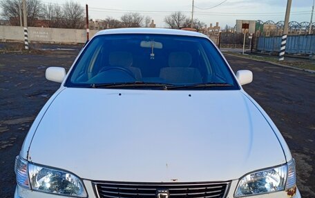 Toyota Corolla, 1998 год, 340 000 рублей, 1 фотография