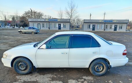 Toyota Corolla, 1998 год, 340 000 рублей, 4 фотография