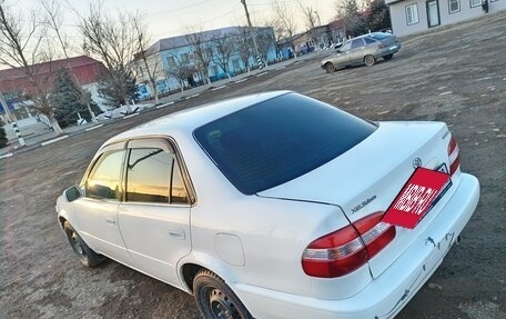 Toyota Corolla, 1998 год, 340 000 рублей, 5 фотография