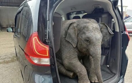 Honda Freed II, 2018 год, 1 580 000 рублей, 4 фотография