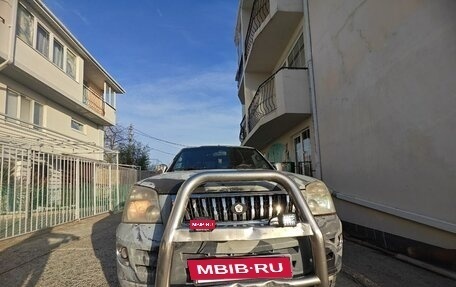 Dadi Smoothing, 2007 год, 370 000 рублей, 11 фотография