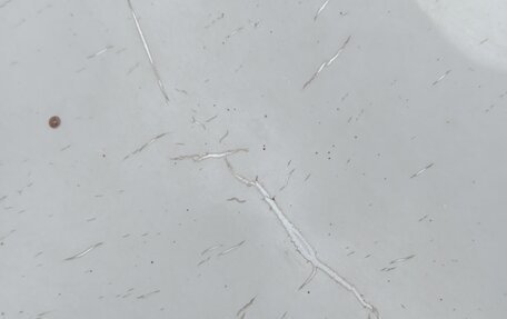 Volkswagen Passat B7, 2013 год, 1 250 000 рублей, 7 фотография