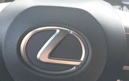 Lexus RX IV рестайлинг, 2016 год, 3 300 000 рублей, 31 фотография