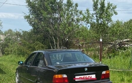 BMW 3 серия, 1996 год, 350 000 рублей, 4 фотография