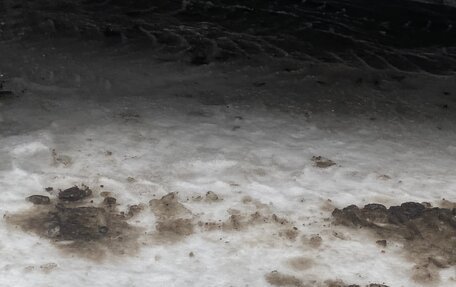 Nissan Pulsar IV, 1999 год, 185 000 рублей, 7 фотография