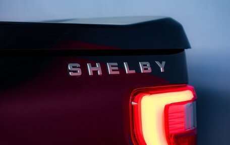 Ford F-150, 2024 год, 17 900 000 рублей, 10 фотография