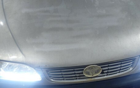 Toyota Corolla, 1999 год, 160 000 рублей, 1 фотография