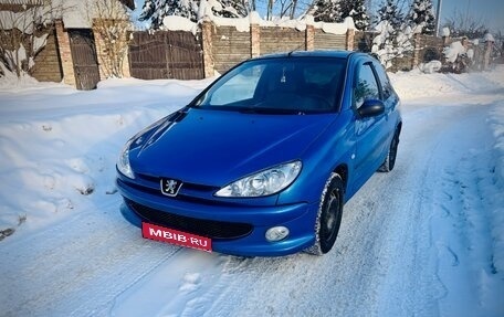 Peugeot 206, 2004 год, 299 000 рублей, 1 фотография