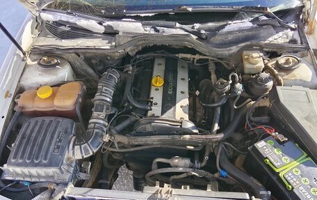 Opel Omega B, 1997 год, 130 000 рублей, 9 фотография