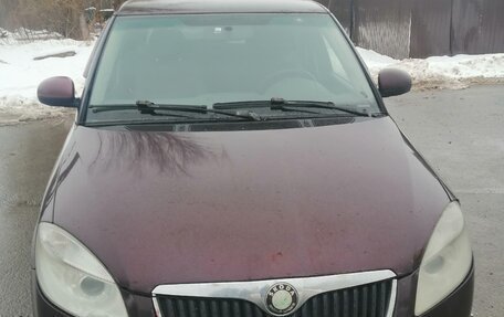 Skoda Fabia II, 2009 год, 360 000 рублей, 1 фотография