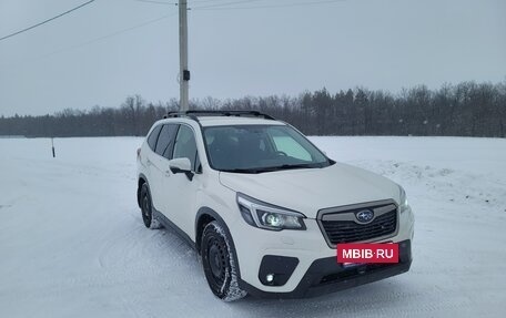 Subaru Forester, 2019 год, 3 300 000 рублей, 23 фотография